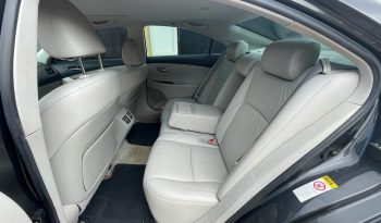 Lexus RX 300 2010
