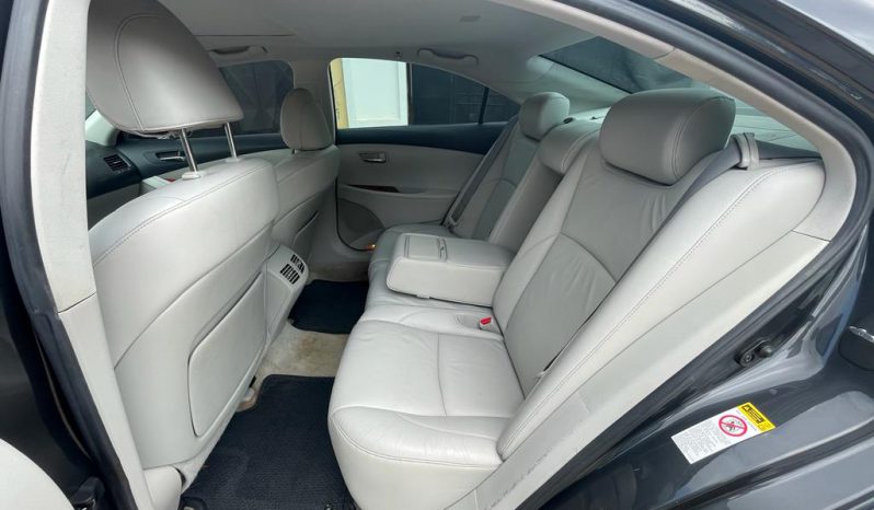 Lexus RX 300 2010 full